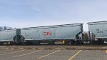 CN 114494